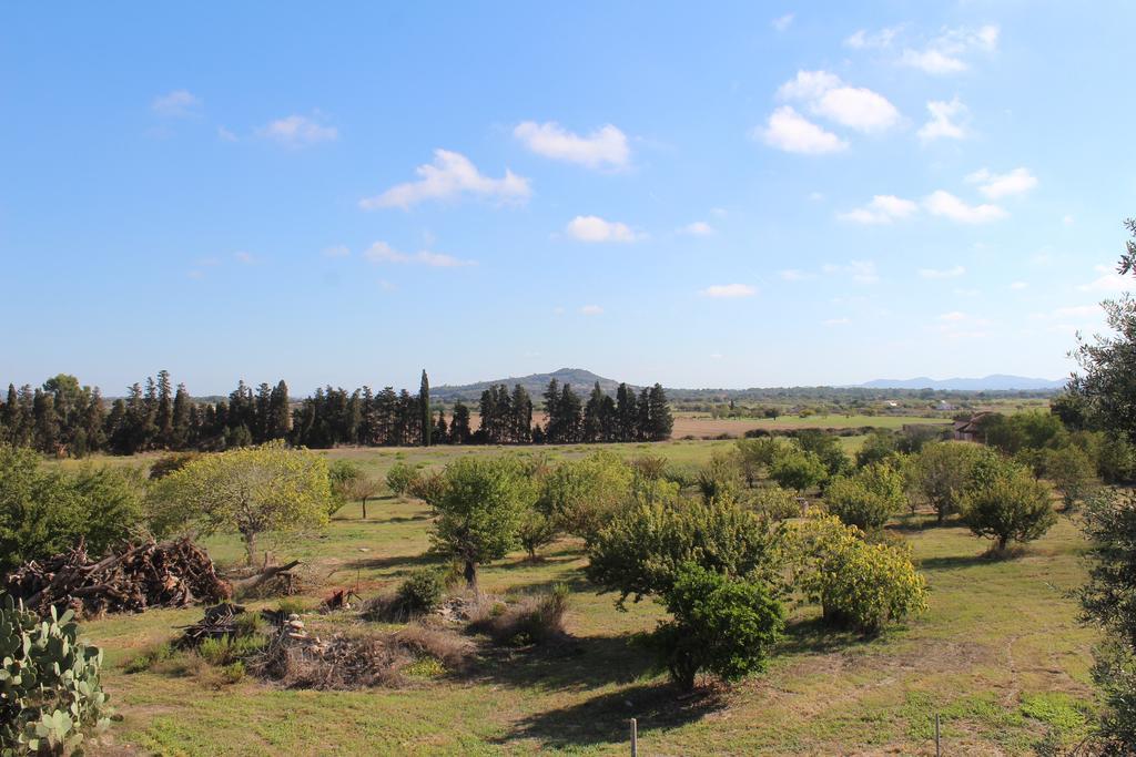 Es Lladoner Villa Porreres Exterior foto